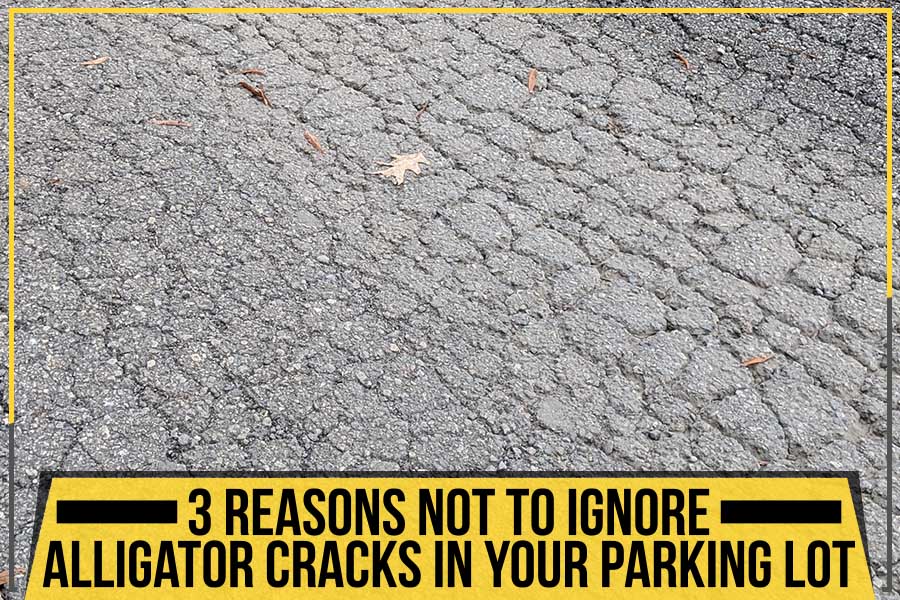 3 Reasons Not To Ignore Alligator Cracks In Your Parking Lot